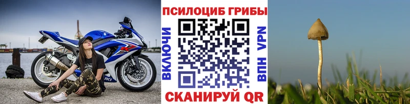 закладки  Набережные Челны  Галлюциногенные грибы MAGIC MUSHROOMS 