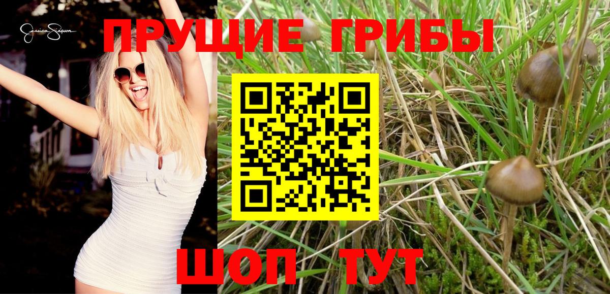 Набережные Челны  Псилоцибиновые грибы мухоморы  Вход с VPN 