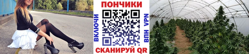 Каннабис Amnesia  Набережные Челны 